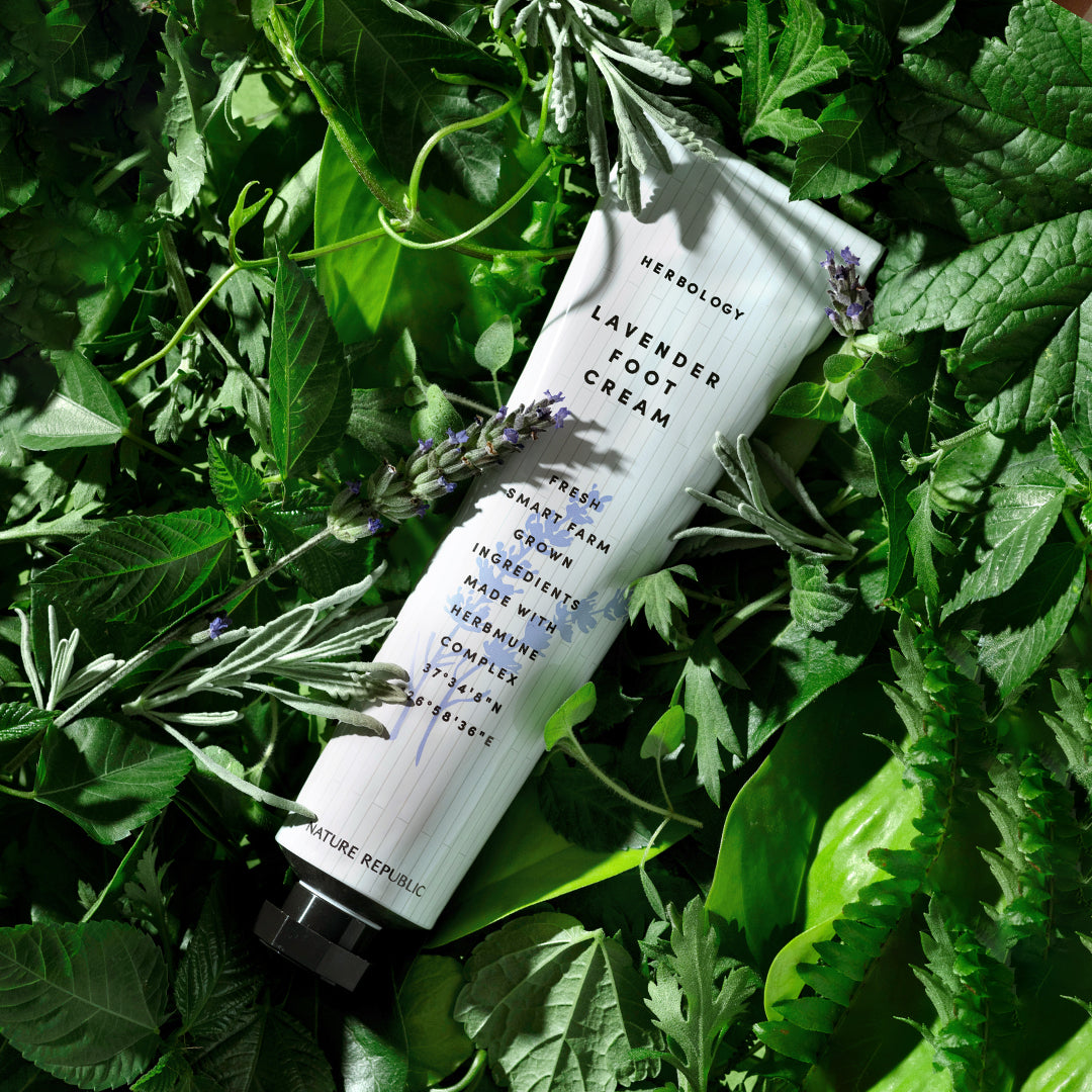 HERBOLOGY Lavender Foot Cream