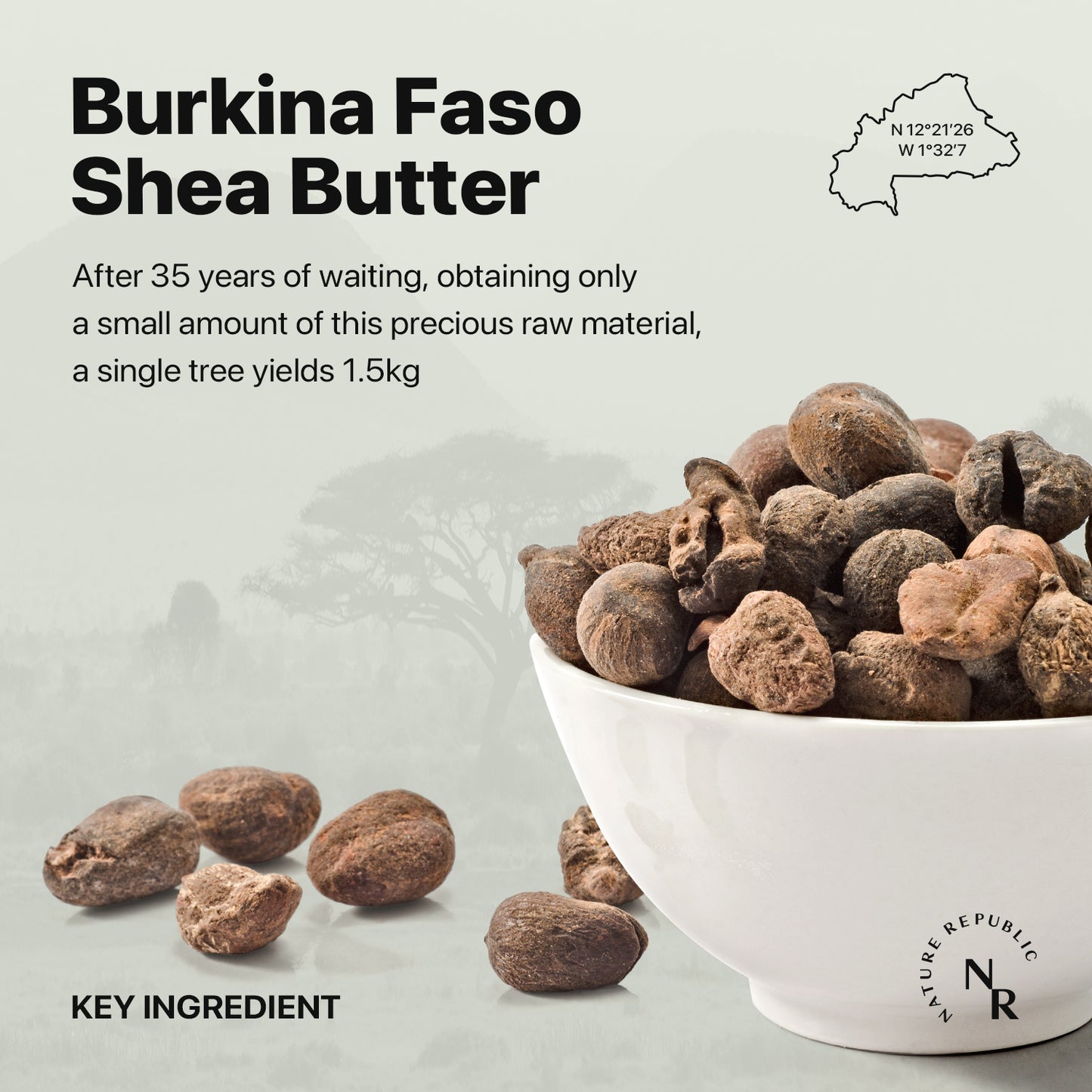 SHEA BUTTER Steam Cream Moist