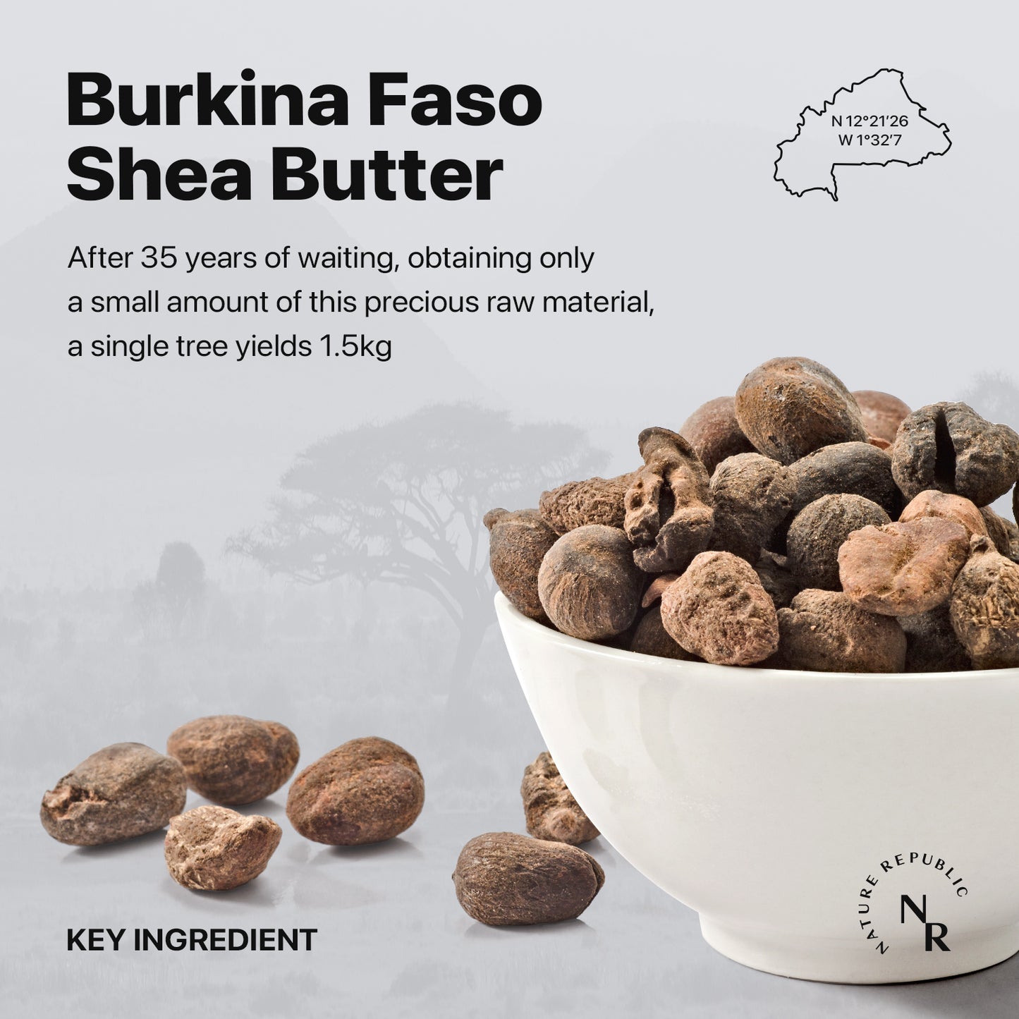 SHEA BUTTER Steam Cream Fresh