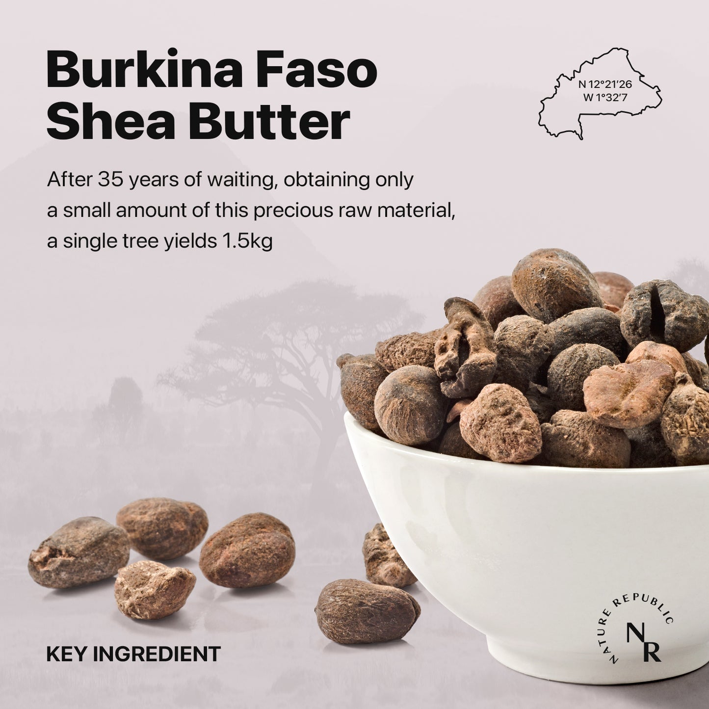 SHEA BUTTER Steam Cream Ultra