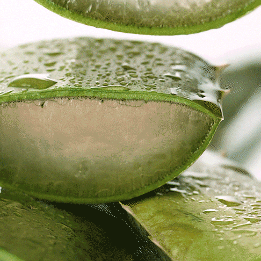 SOOTHING & MOISTURE Aloe Vera Gel Mist