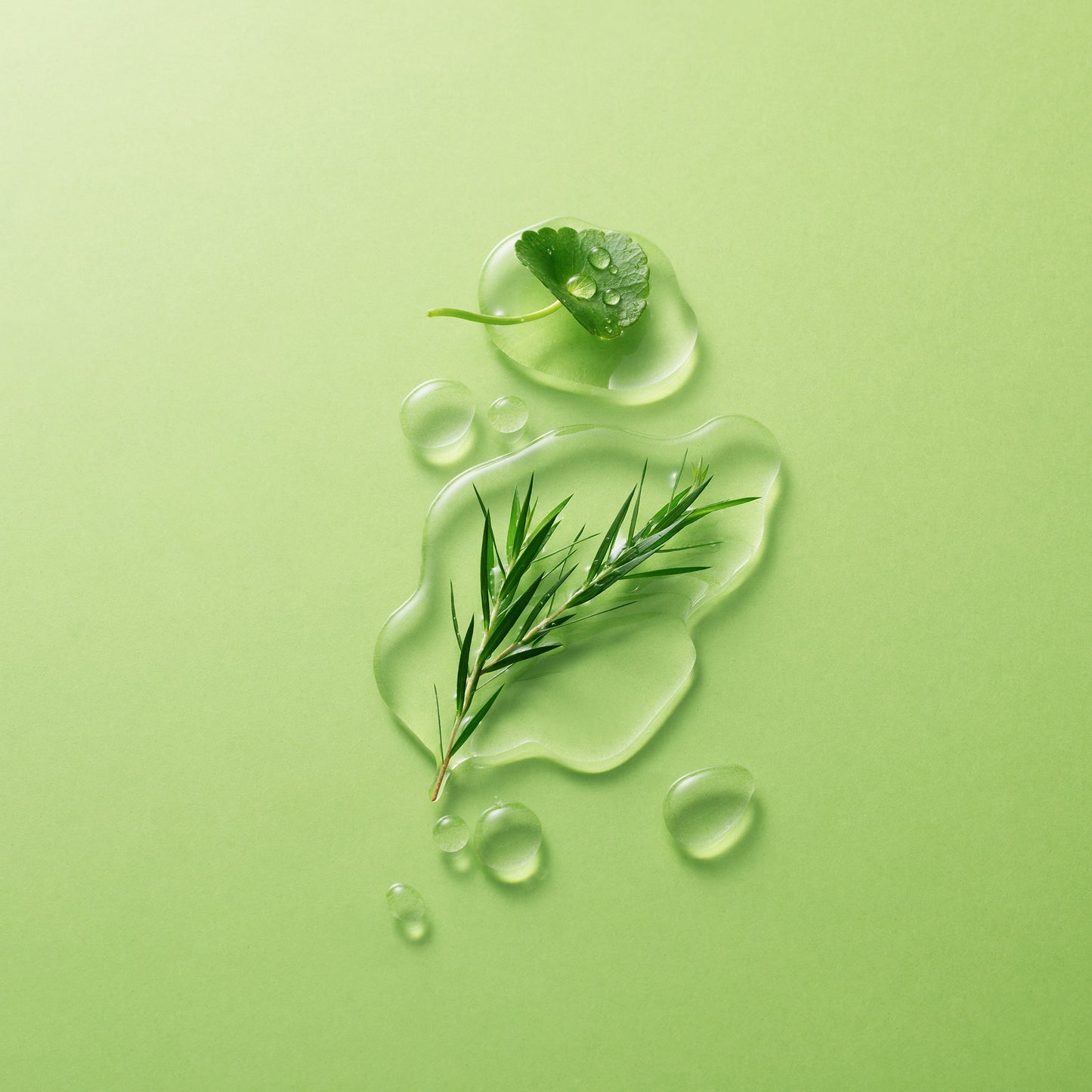 GREEN DERMA Tea Tree Cica Big Toner