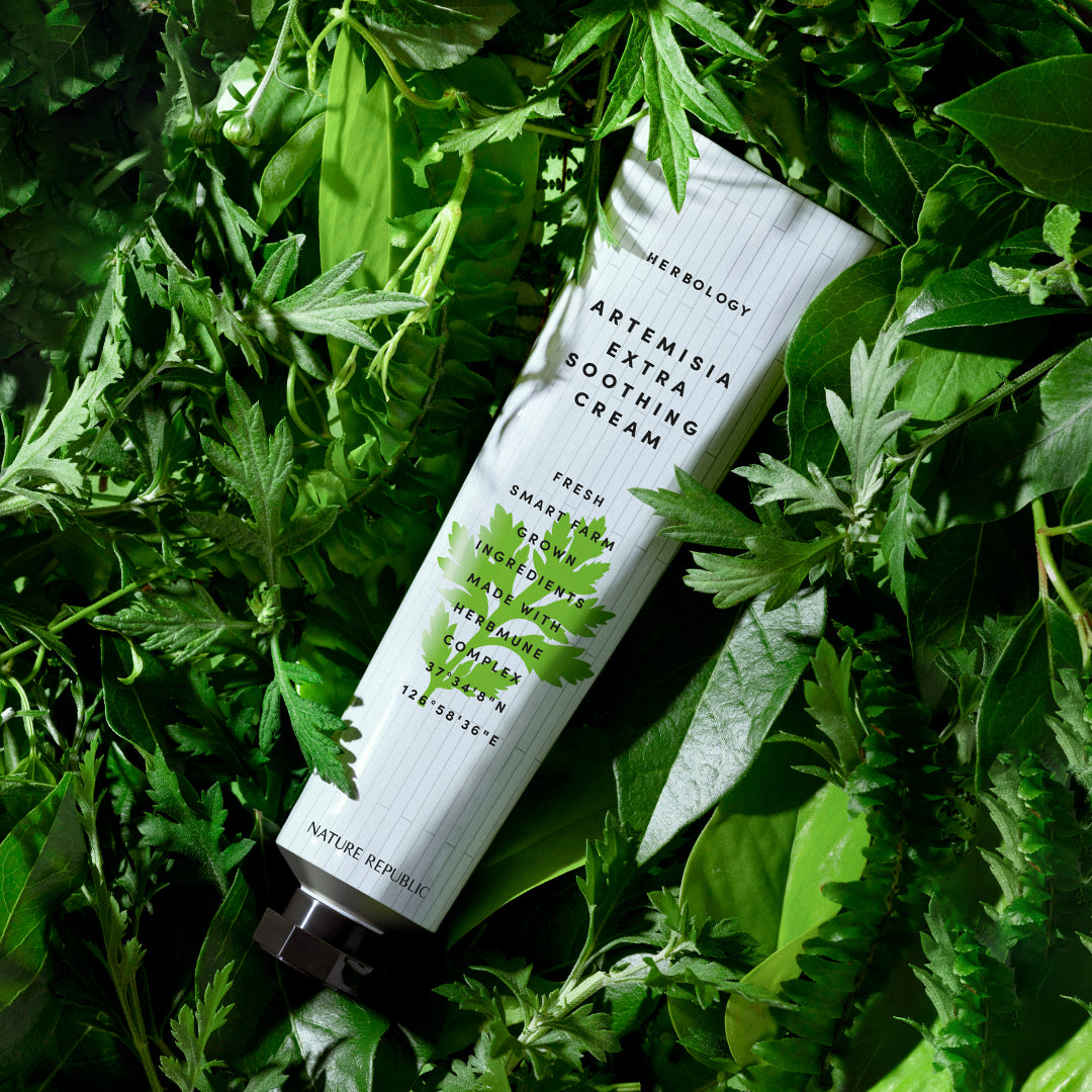 HERBOLOGY Artemisia Soothing Cream – NATURE REPUBLIC