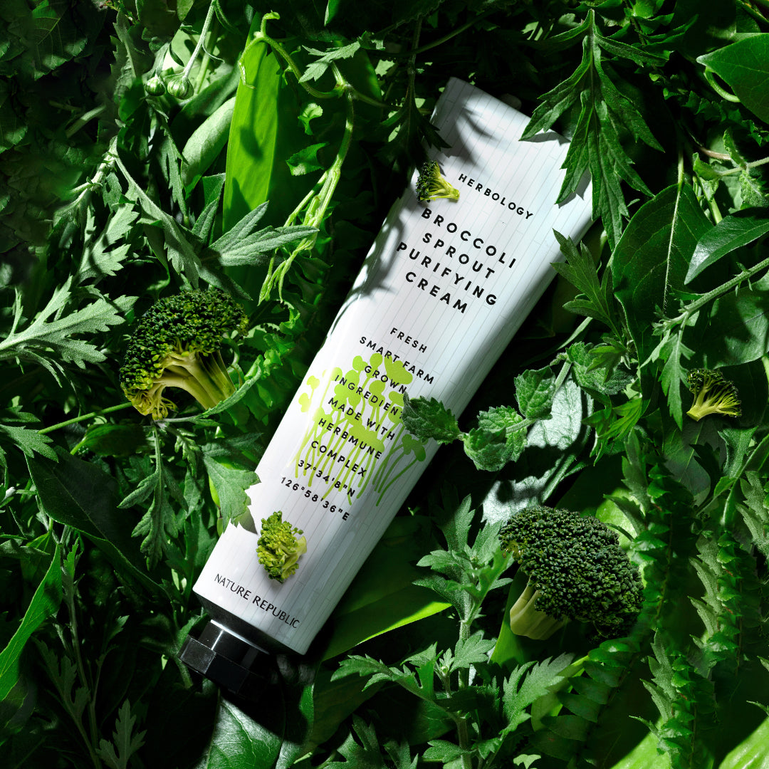 HERBOLOGY Broccoli Sprout Purifying Cream – NATURE REPUBLIC
