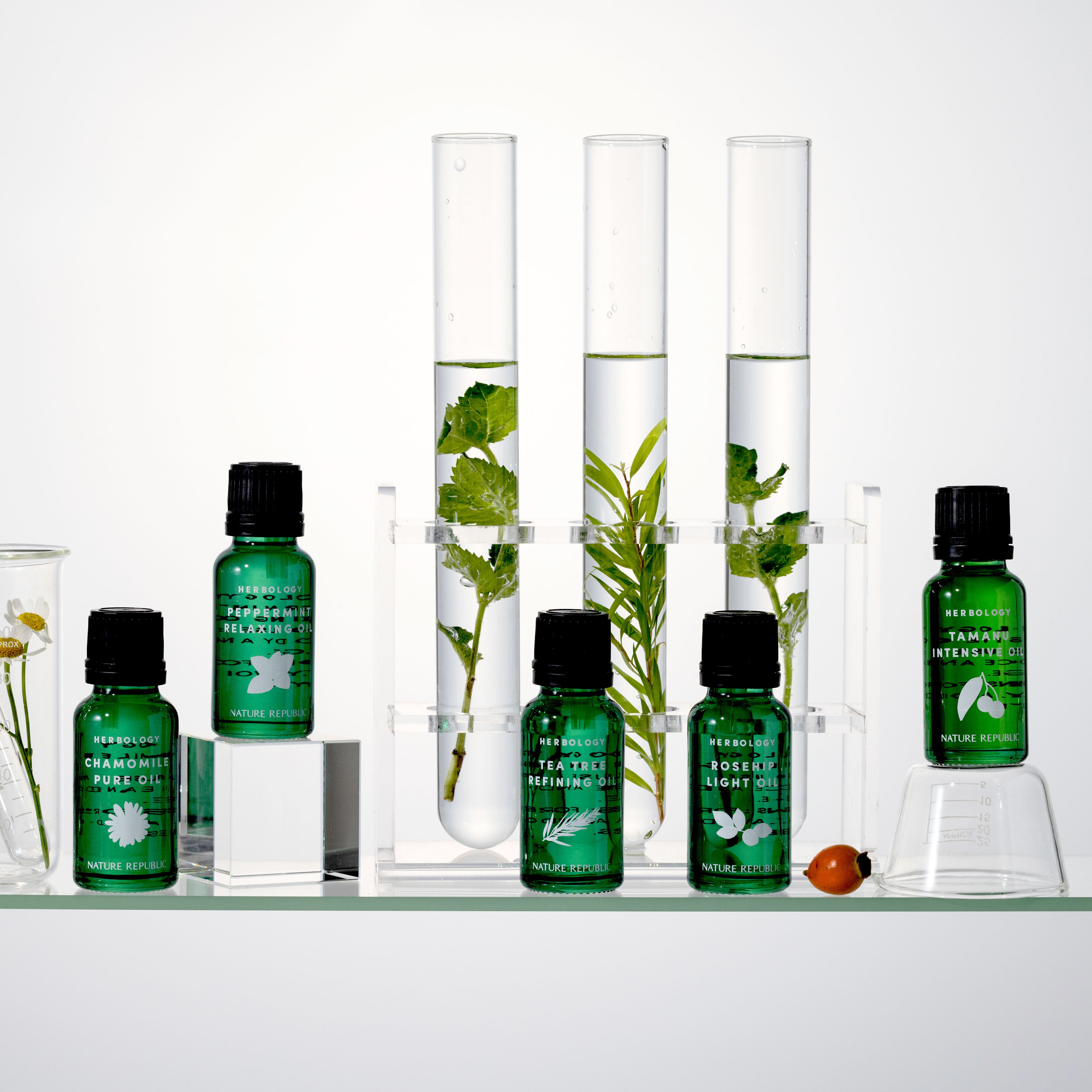 HERBOLOGY Tamanu Intensive Oil – NATURE REPUBLIC