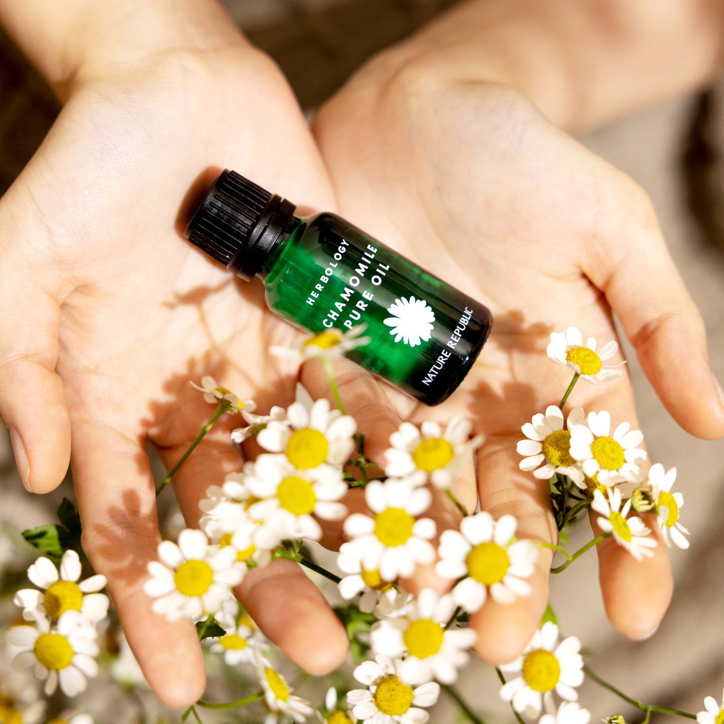 HERBOLOGY Chamomile Pure Oil